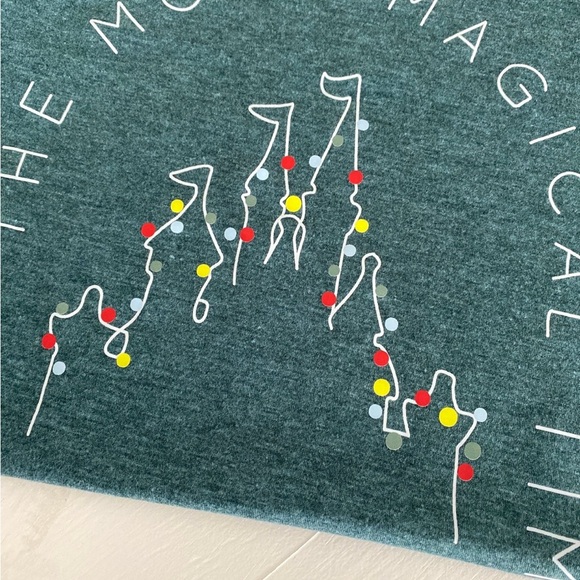 Cinderella Castle Christmas Lights It’s the Most Magical Time of the Year Tee - Picture 3 of 4